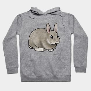 Small Mammal - Rabbit - Netherland Dwarf Hoodie